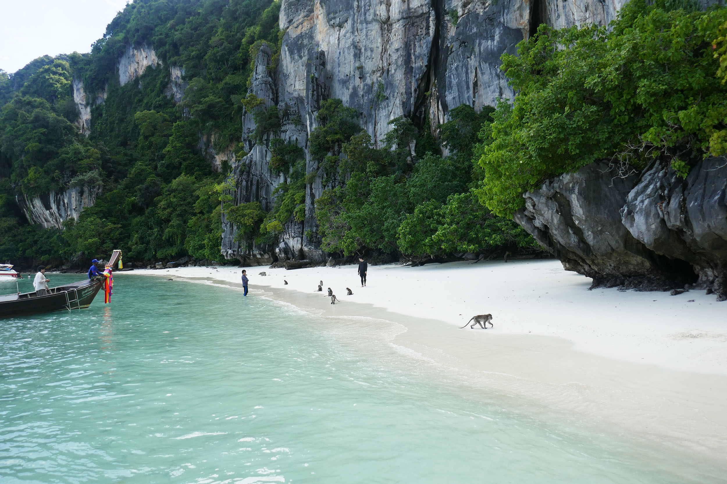 monkey beach thailande en famille