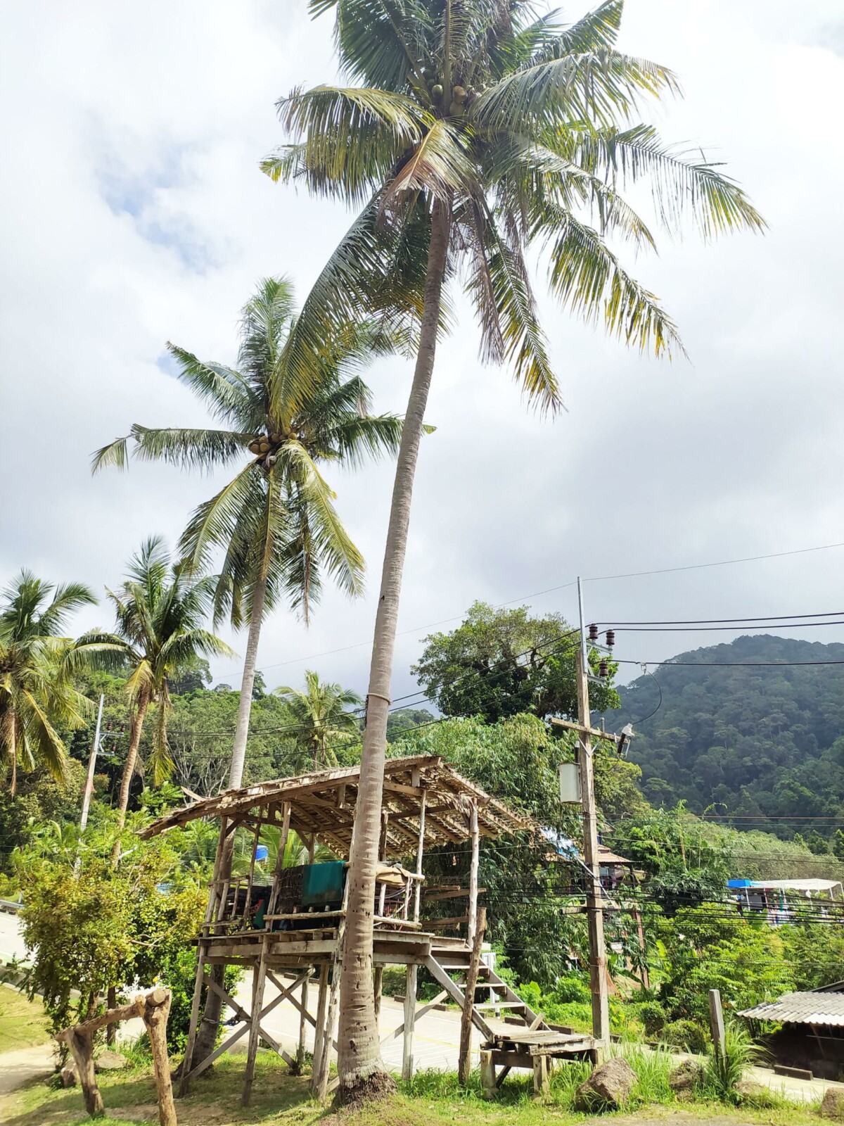 quoi faire sur koh phangan en famille