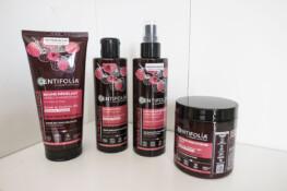 centifolia