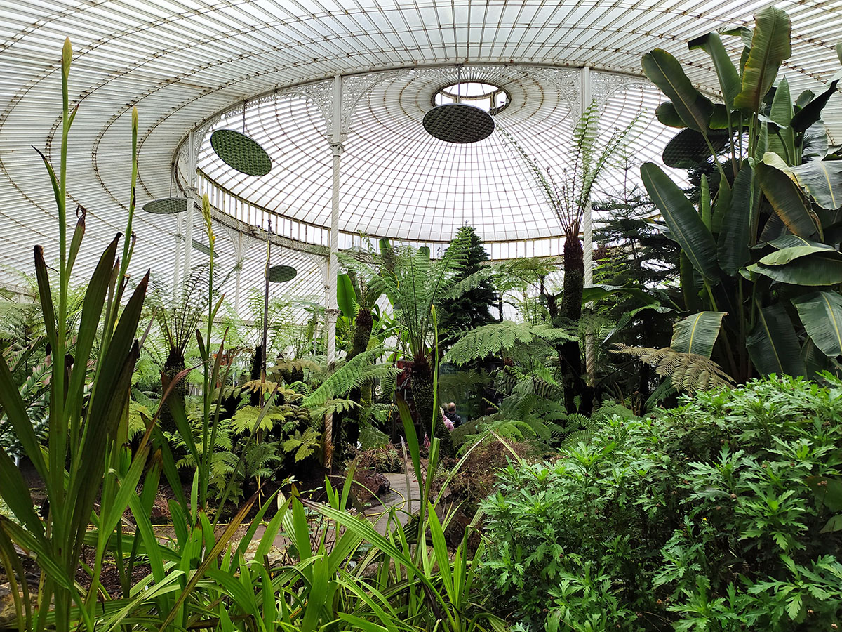 jardin botanique de glasgow