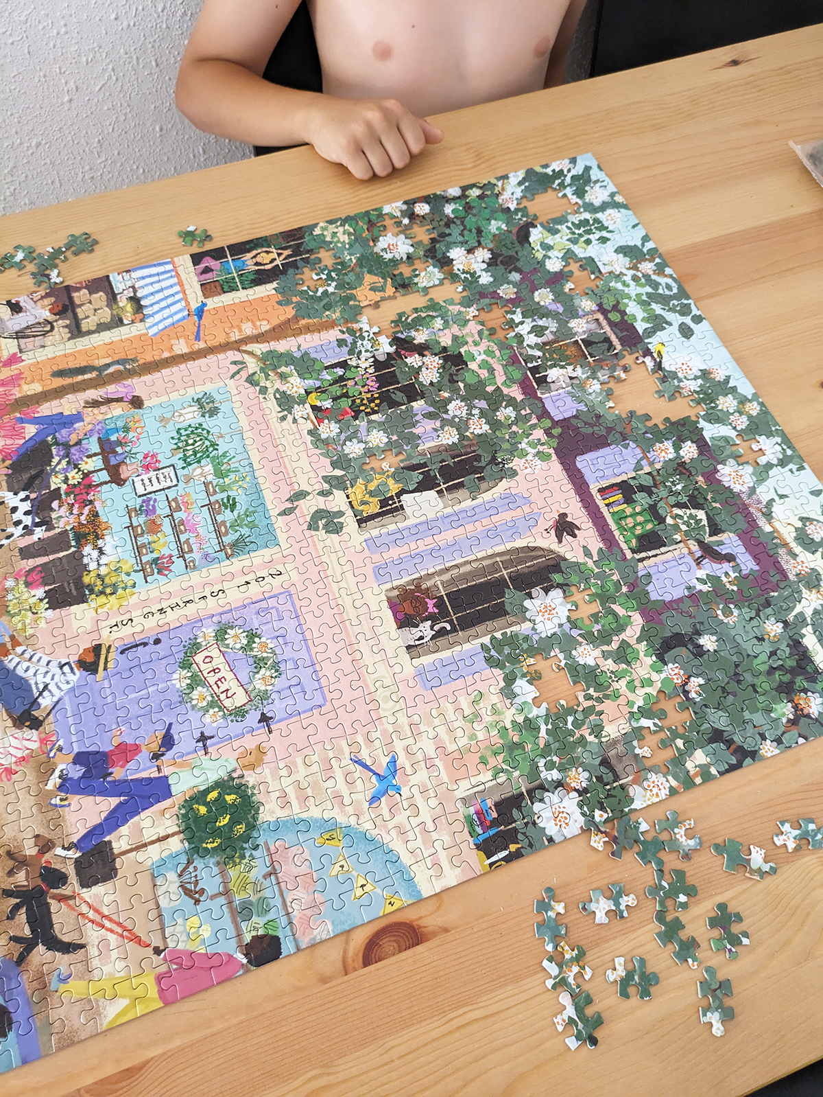 puzzles pour adultes